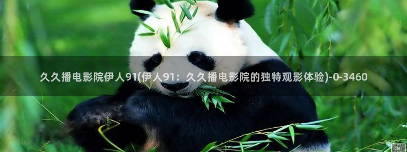 麻豆伊人久久影院