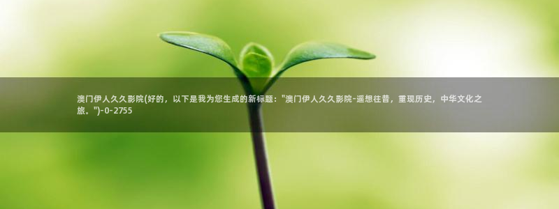 伊人久久无码影院