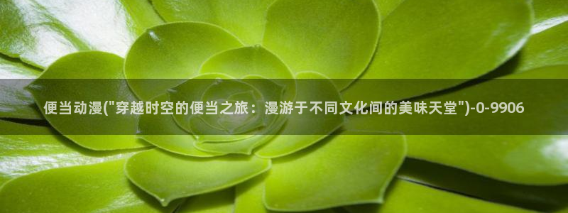 58动漫网