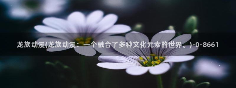动漫天堂