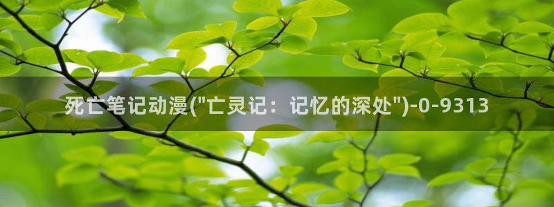 动漫二次元：死亡笔记动漫(\