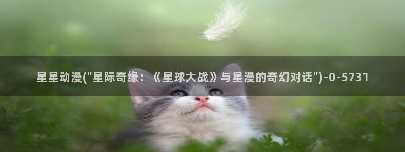 里番动漫在线观看